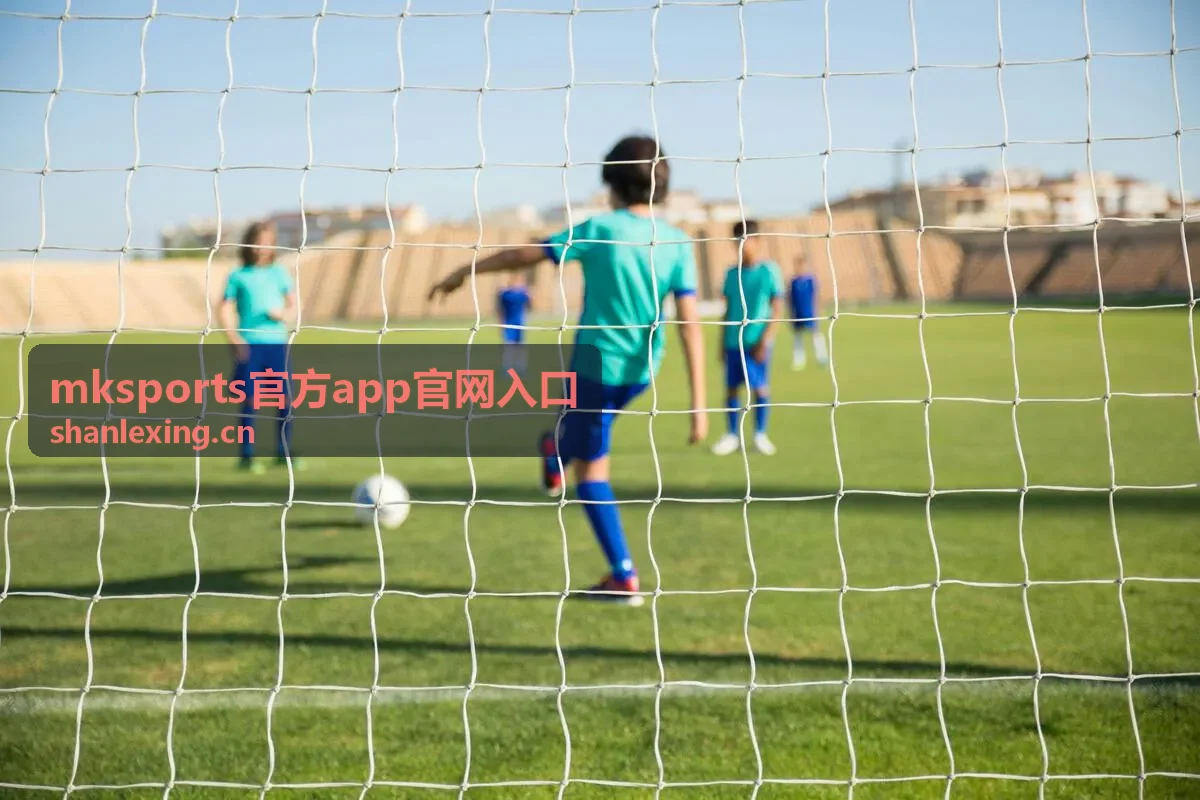 mksports官方app官网入口信息整理页面示意图